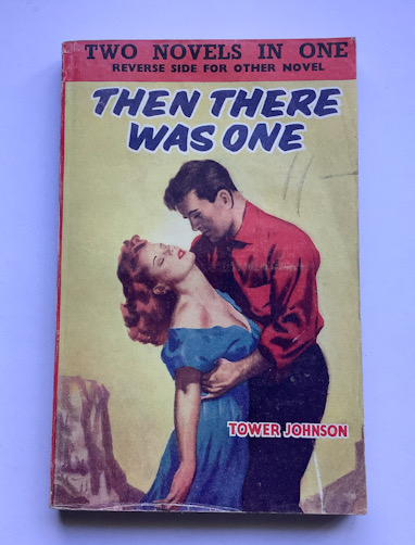 2 novels in 1 British pulp fiction crime book LEAD TO ICE and THEN THERE WAS ONE c1958